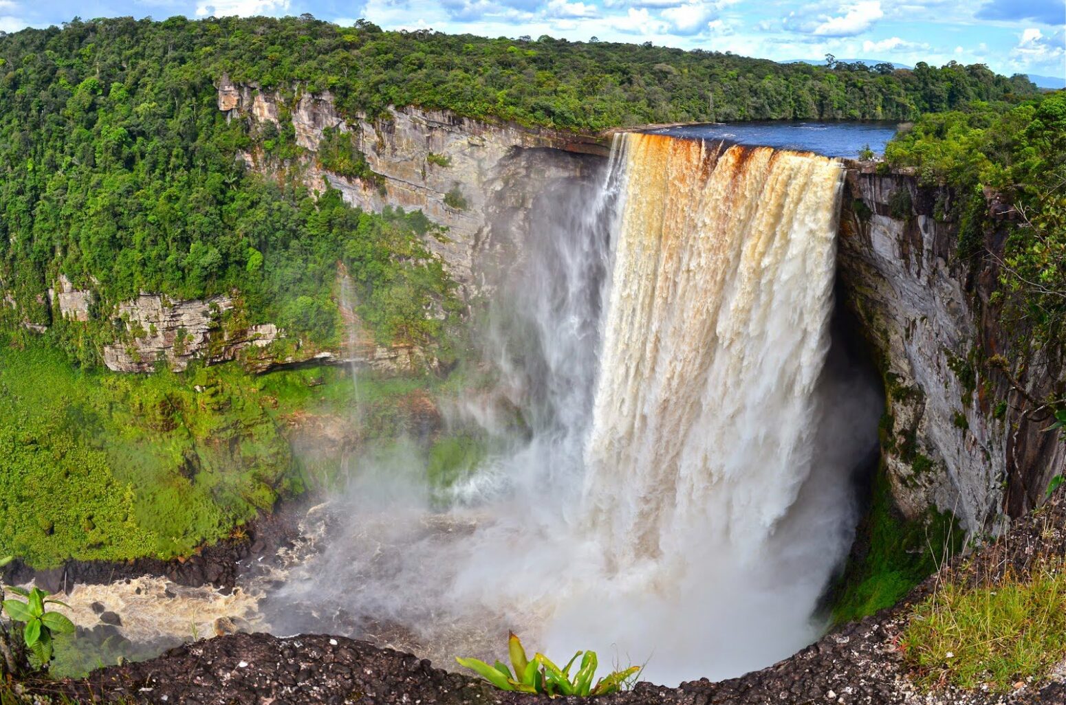 Kaieteur Falls plunging through rainforest canyon